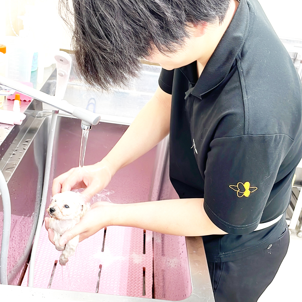 q̃PAg~O